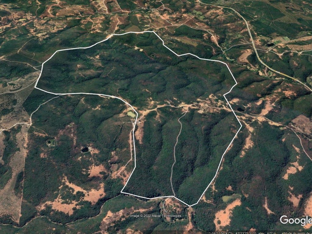 Foto 4 de 5: Area Rural em leilão em Fruta De Leite - MG — Imóvel Rural de 392 ha - Fruta de Leite - MG