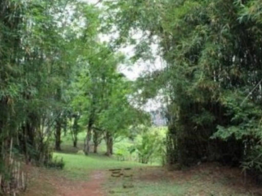 Foto 10 de 17: Area Rural em leilão em São Roque - SP — Sítio com 70.097 m² (área total) e 850 m² (área construída) - Saboó - São Roque - SP