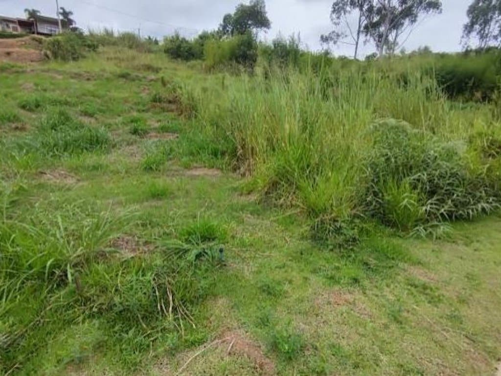 Foto 4 de 6: Terreno em leilão em Itatiba - SP — Terreno 284 m² - Loteamento Jardim das Paineiras - Itatiba - SP