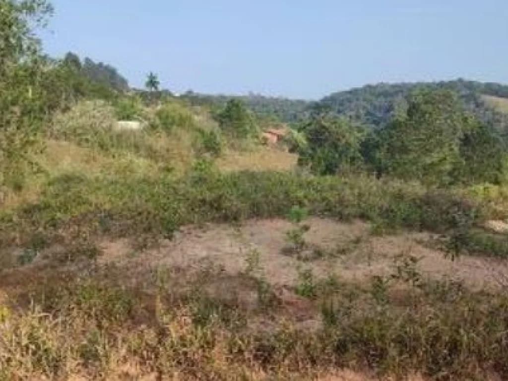 Foto 6 de 7: Terreno em leilão em Jarinu - SP — Terreno 478 m² - Maracanã - Jarinu - SP