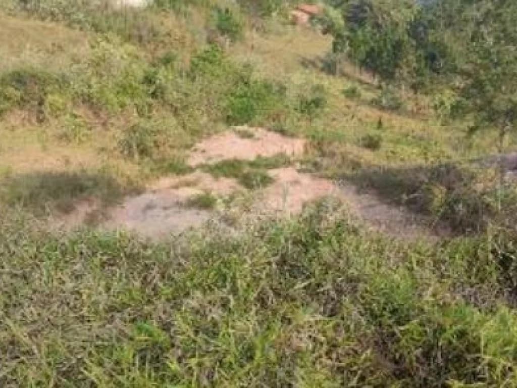 Foto 7 de 7: Terreno em leilão em Jarinu - SP — Terreno 478 m² - Maracanã - Jarinu - SP