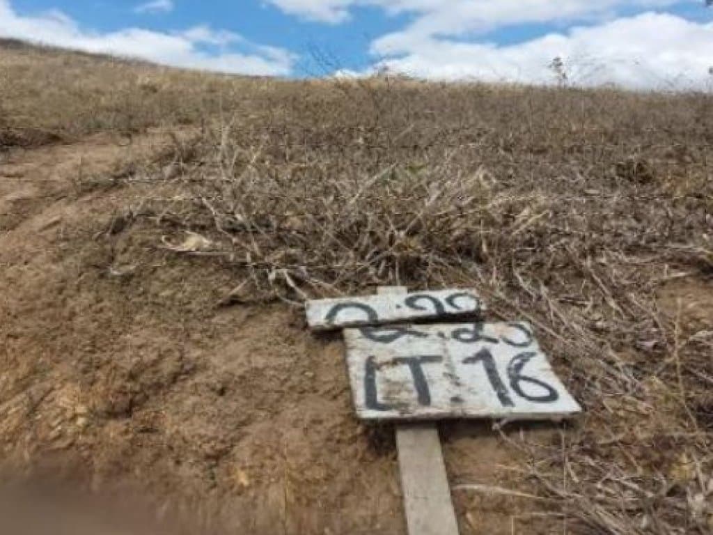 Foto 4 de 7: Terreno em leilão em Timbaúba - PE — Terreno 749 m² - Loteamento Araruna II - Timbaúba - PE