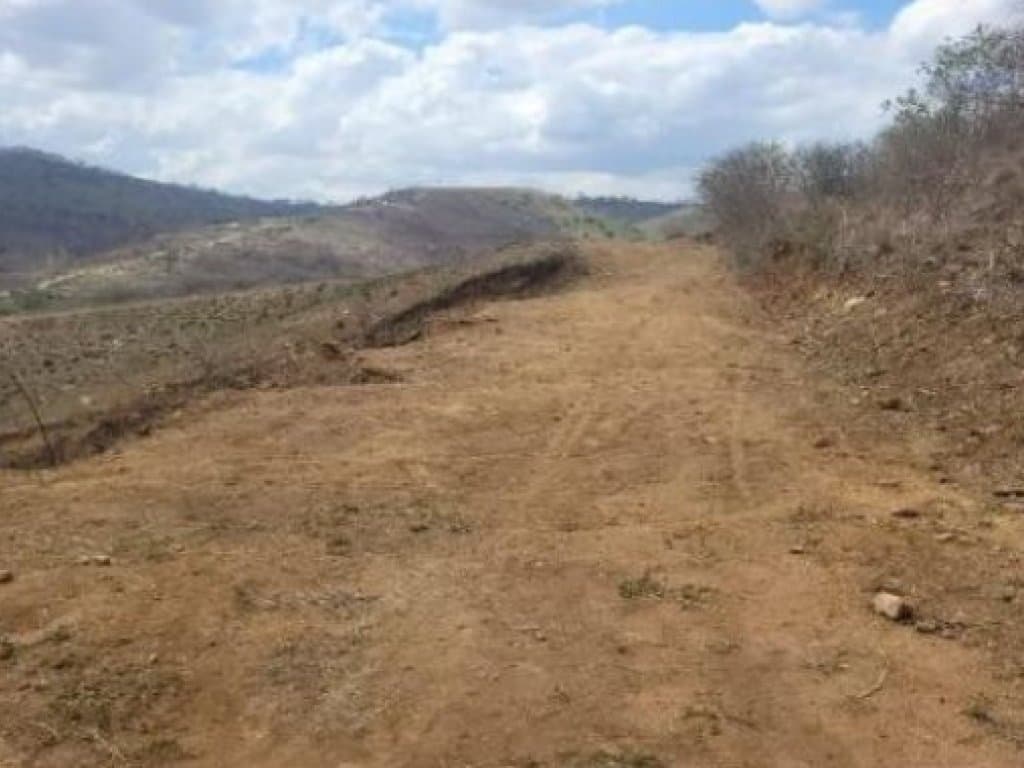 Foto 7 de 7: Terreno em leilão em Timbaúba - PE — Terreno 749 m² - Loteamento Araruna II - Timbaúba - PE