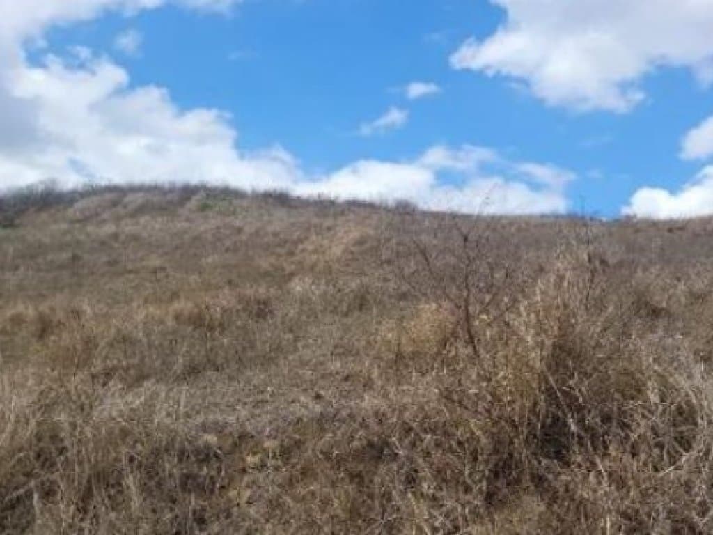 Foto 6 de 7: Terreno em leilão em Timbaúba - PE — Terreno 749 m² - Loteamento Araruna II - Timbaúba - PE