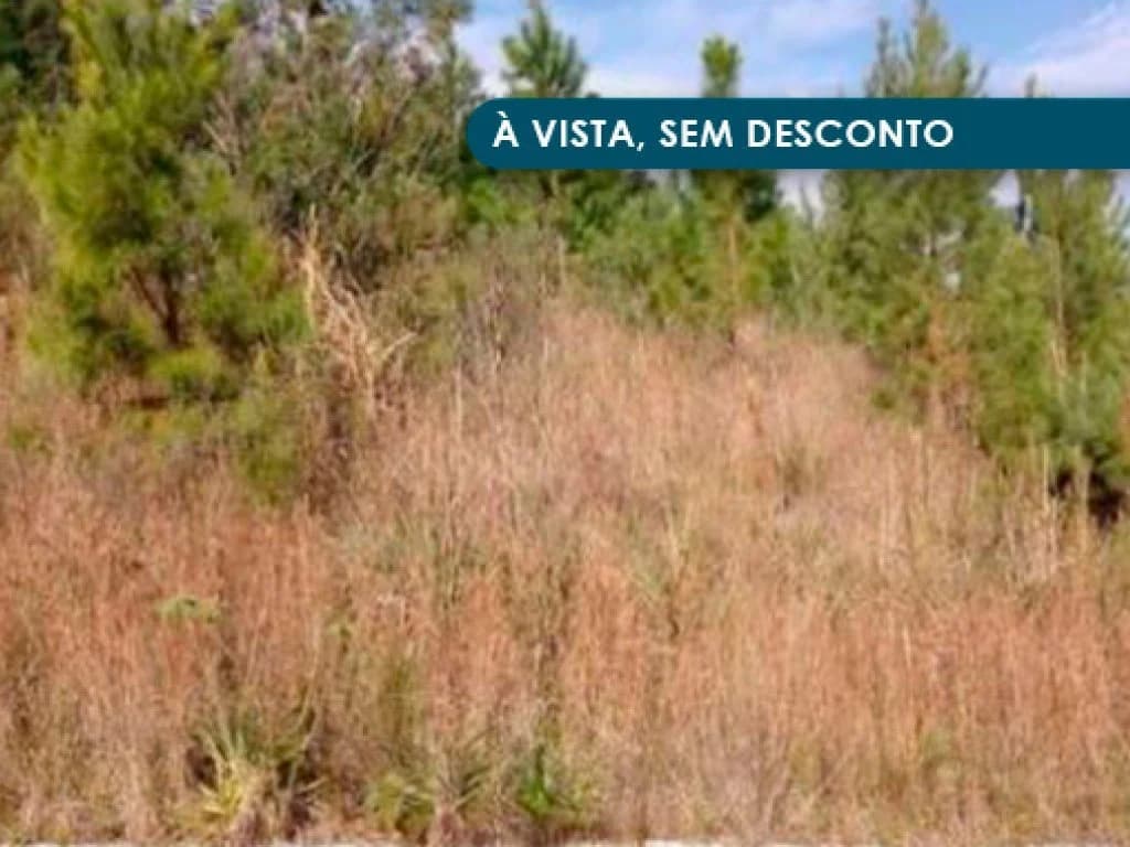 Foto 2 de 4: Terreno em leilão em Nova Petrópolis - RS — Terreno 711 m² - Linha Brasil - Nova Petrópolis - RS