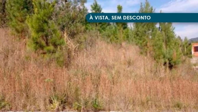 Foto 1 de 4: Terreno em leilão em Nova Petrópolis - RS — Terreno 711 m² - Linha Brasil - Nova Petrópolis - RS