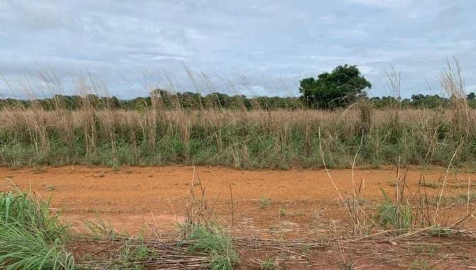 Foto 7 de 22: Terreno em leilão em Porto Nacional - TO — Área com 3.040 m² (Lt. 09 - Qd. 01) - Jardim América - Porto Nacional - TO