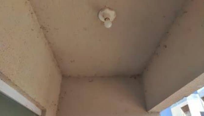 Foto 10 de 56: Apartamento em leilão em Três Lagoas - MS — Apartamento, Padrão, 1 Vaga(S) de Garagem