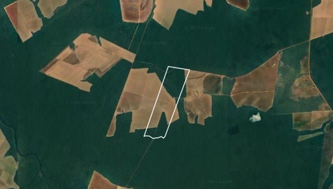 Foto 3 de 3: Area Rural em leilão em Nova Maringá - MT — Imóvel Rural 568 ha - Nova Maringá - MT