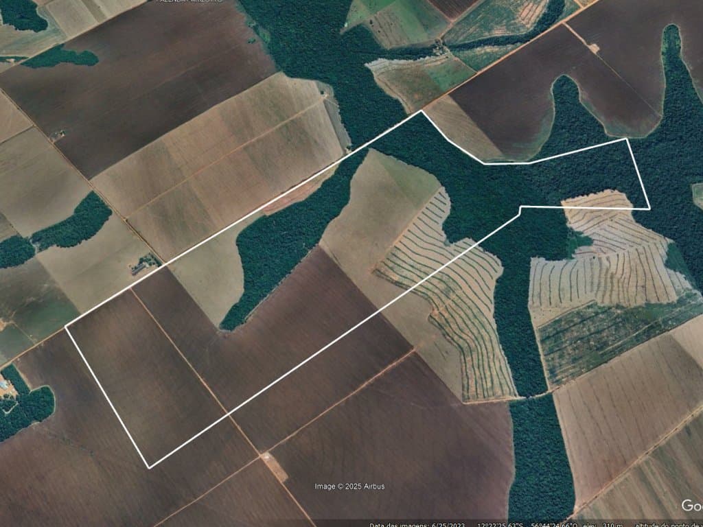 Foto 3 de 11: Area Rural em leilão em Tapurah - MT — Imóvel Rural com 400 ha (Fazenda Três Irmãos - Parte 06) - Tapurah - MT