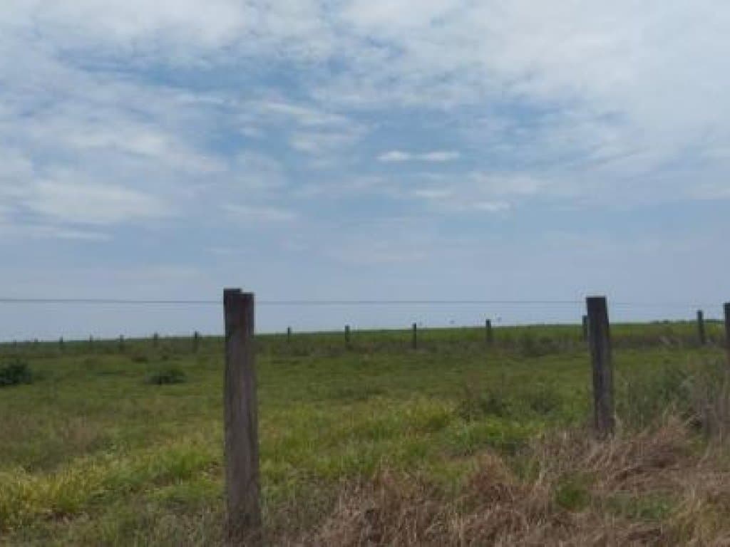 Foto 5 de 11: Area Rural em leilão em Tapurah - MT — Imóvel Rural com 400 ha (Fazenda Três Irmãos - Parte 06) - Tapurah - MT