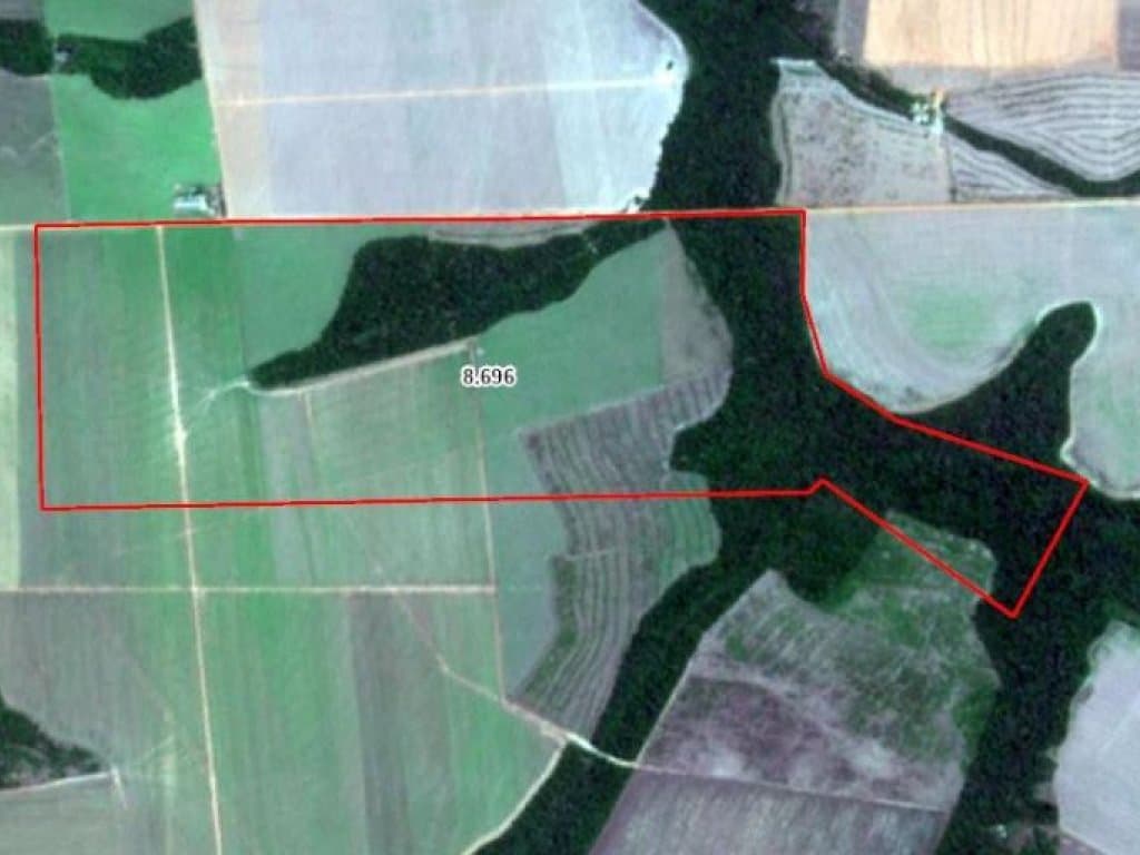 Foto 11 de 11: Area Rural em leilão em Tapurah - MT — Imóvel Rural com 400 ha (Fazenda Três Irmãos - Parte 06) - Tapurah - MT