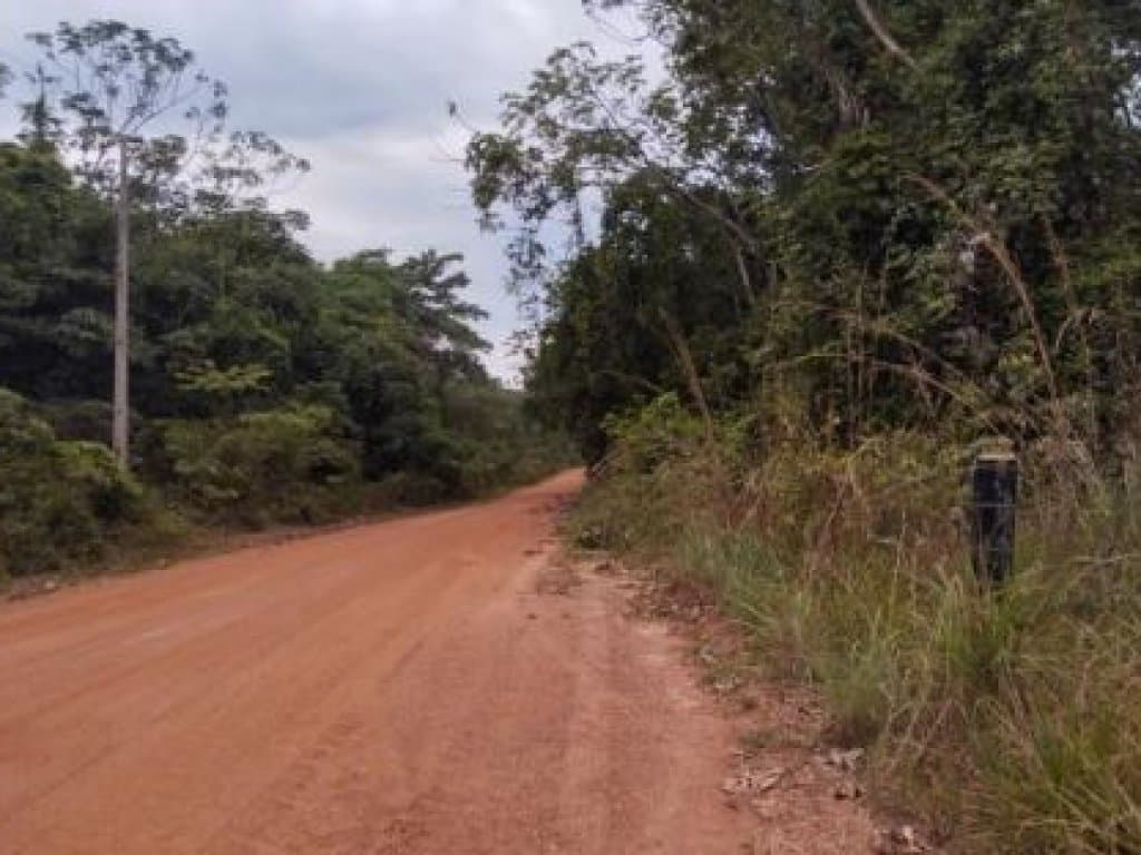 Foto 10 de 11: Area Rural em leilão em Tapurah - MT — Imóvel Rural com 400 ha (Fazenda Três Irmãos - Parte 06) - Tapurah - MT