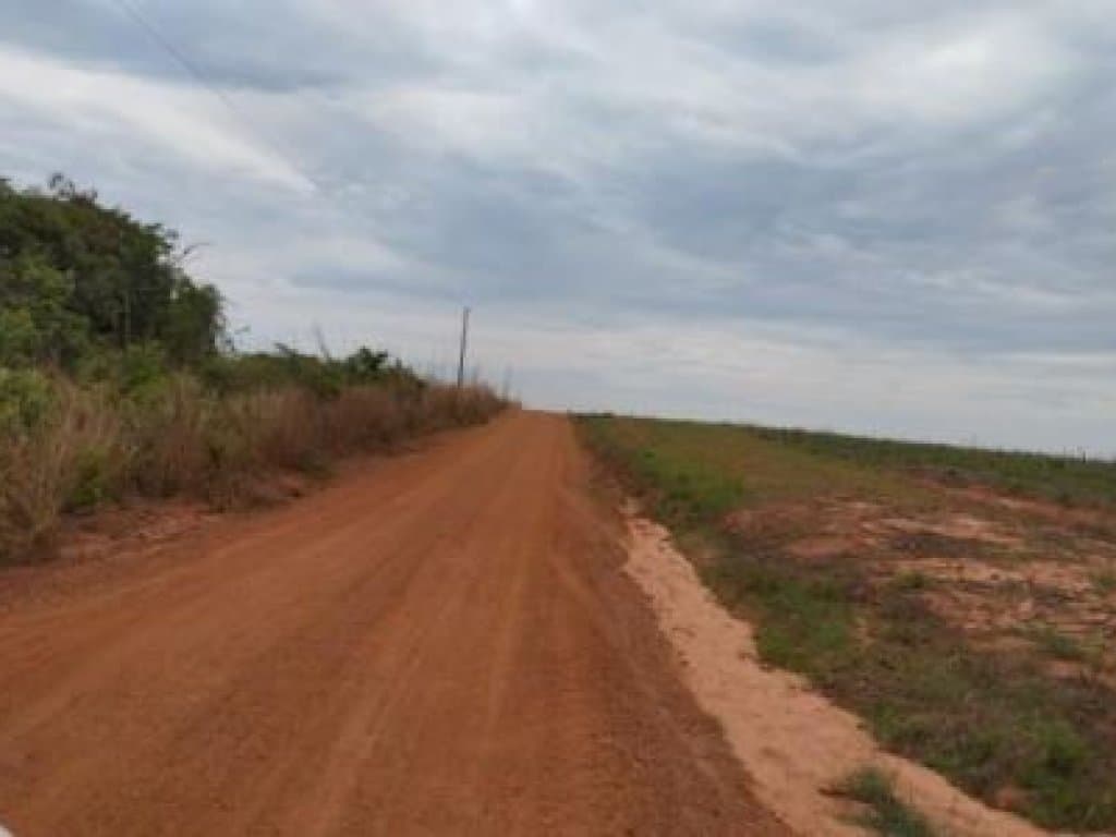 Foto 8 de 11: Area Rural em leilão em Tapurah - MT — Imóvel Rural com 400 ha (Fazenda Três Irmãos - Parte 06) - Tapurah - MT