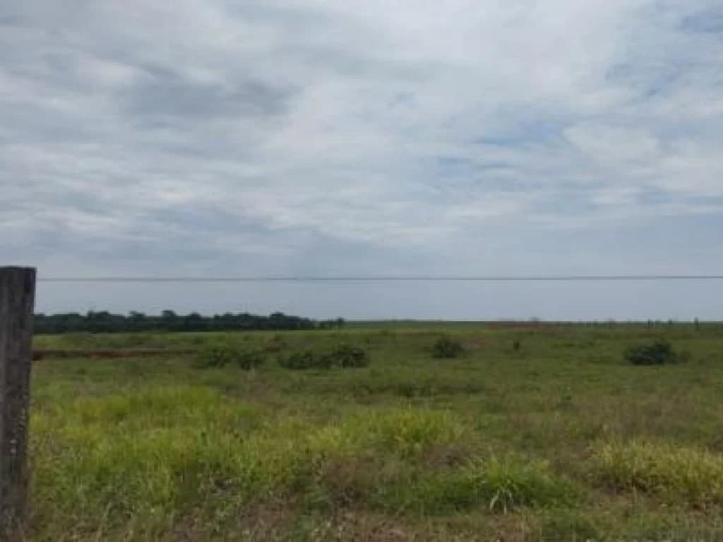 Foto 6 de 11: Area Rural em leilão em Tapurah - MT — Imóvel Rural com 400 ha (Fazenda Três Irmãos - Parte 06) - Tapurah - MT