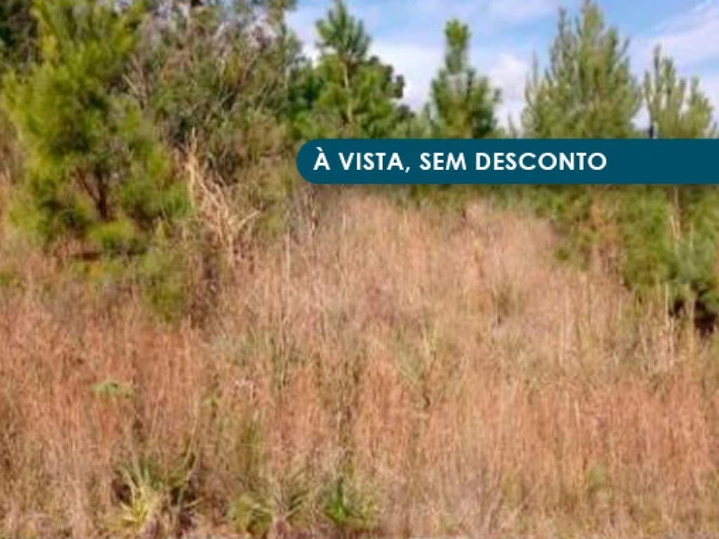 Foto 2 de 4: Terreno em leilão em Nova Petrópolis - RS — Terreno 711 m² - Linha Brasil - Nova Petrópolis - RS