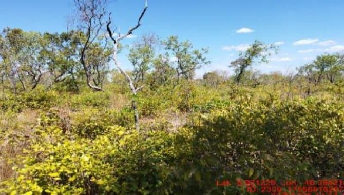 Foto 1 de 2: Area Rural em leilão em São Pedro Dos Crentes - MA, bairro Zona Rural — Área Rural 49 ha - São Pedro do Crentes-MA - Fazenda Cabeceirinha II - Zona Rural