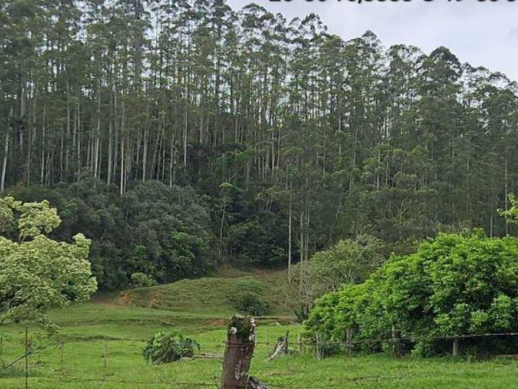 Foto 3 de 3: Area Rural em leilão em Witmarsum - SC, bairro Witmarsum — Área Rural 51.000 m² - Witmarsum-SC - Estrada Geral Waldheim - Partes dos lotes de terras Ns 1.664 e 1.664-A - Zona Rural