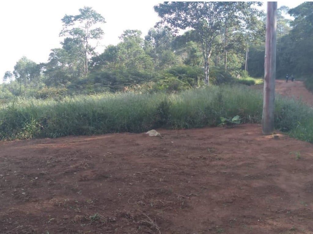 Foto 5 de 6: Terreno em leilão em Cotia - SP, bairro Cachoeira — Área com 1.592 m² - Cachoeira - Cotia - SP