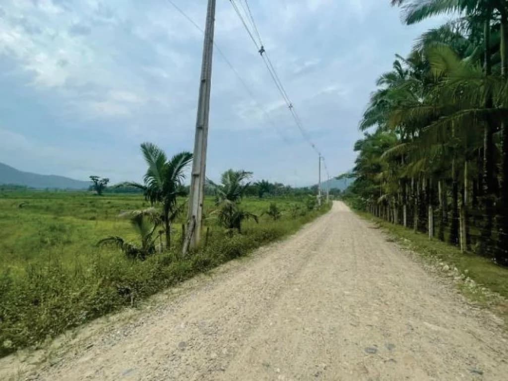 Foto 4 de 21: Area Rural em leilão em Guaratuba - PR — Área Rural com 28 ha - Guaratuba - PR