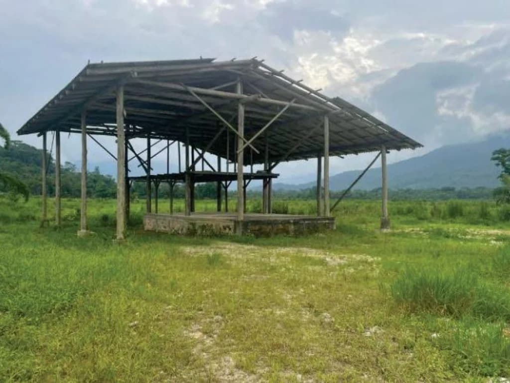 Foto 9 de 21: Area Rural em leilão em Guaratuba - PR — Área Rural com 28 ha - Guaratuba - PR