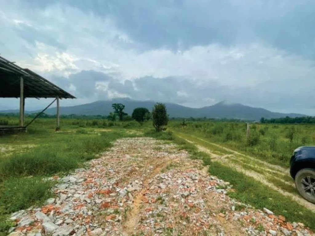 Foto 8 de 21: Area Rural em leilão em Guaratuba - PR — Área Rural com 28 ha - Guaratuba - PR