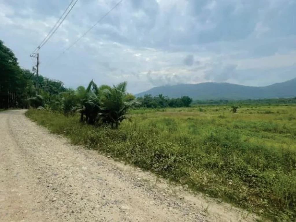 Foto 3 de 21: Area Rural em leilão em Guaratuba - PR — Área Rural com 28 ha - Guaratuba - PR