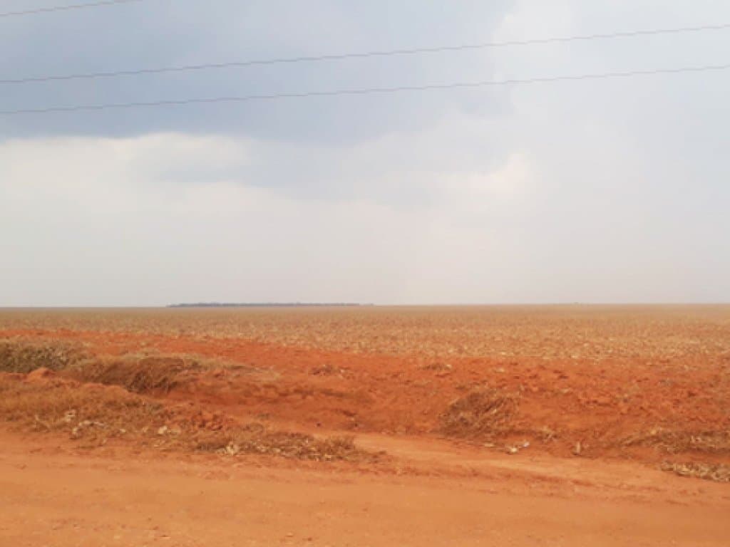 Foto 2 de 4: Area Rural em leilão em Campos De Júlio - MT, bairro Campos de Júlio — Direitos sobre Parte Ideal de Área Rural 195 ha - Fazenda Sabiá - Campos de Júlio - MT