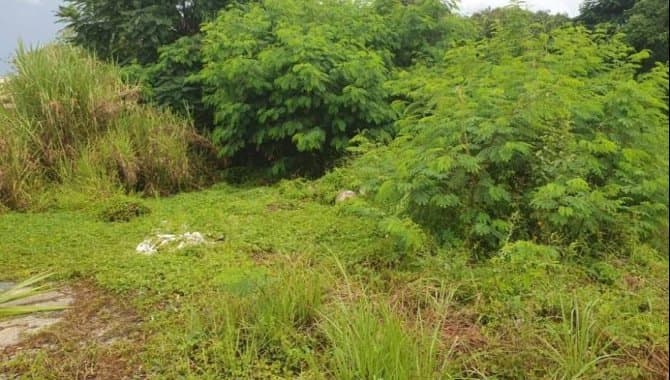 Foto 15 de 30: Terreno em leilão em Sorocaba - SP, bairro Itangua — Área de 126.068 m² - Itangua - Sorocaba - SP