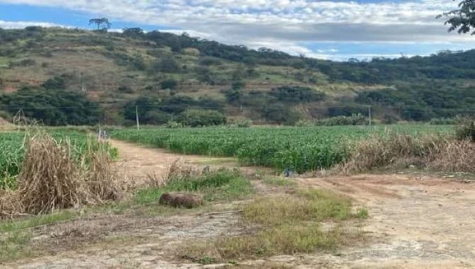 Foto 14 de 14: Comercial em leilão em Além Paraíba - MG, bairro Marinópolis — Galpão com Área de 8 ha - Além Paraíba - MG