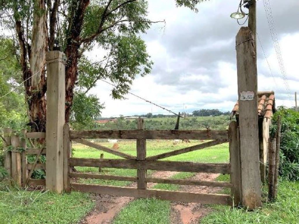 Foto 3 de 4: Area Rural em leilão em Indaiatuba - SP, bairro Helvétia — Área Rural de 56.350 m² - Próx. à Rod. Santos Dumont - Helvétia - Indaiatuba - SP
