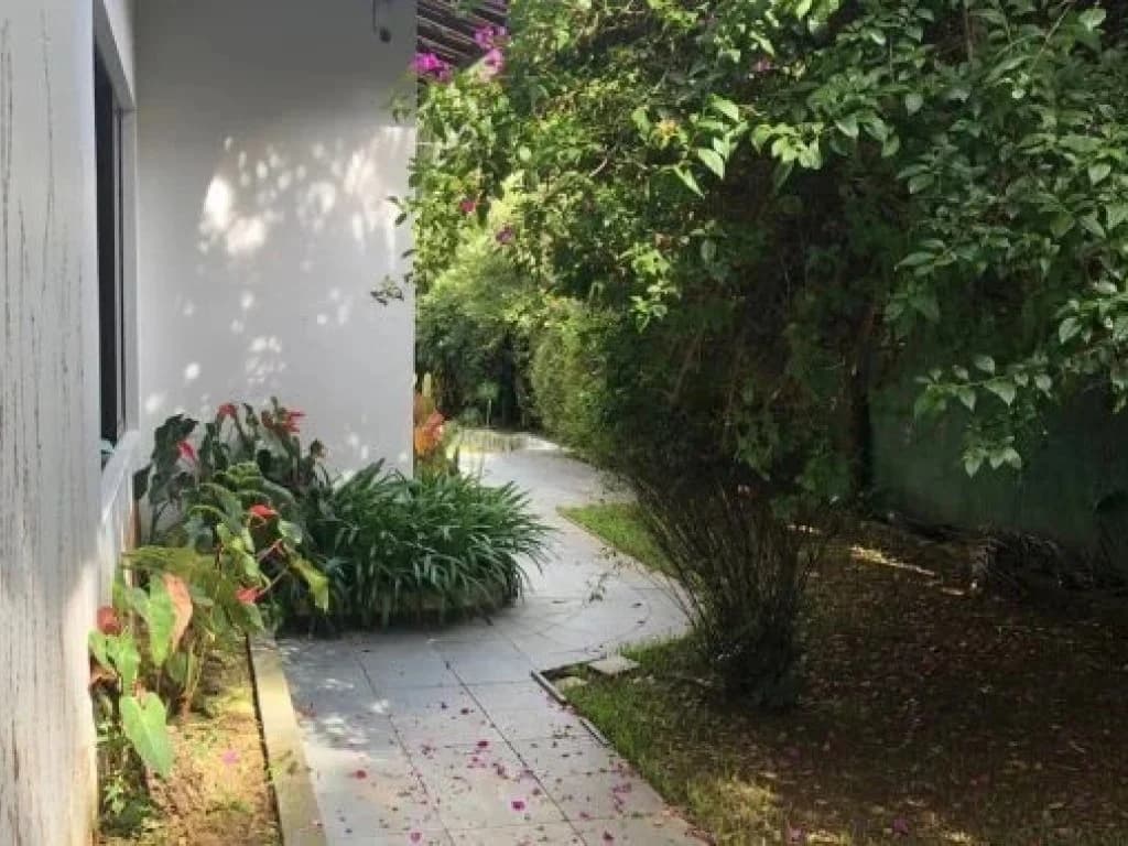 Foto 6 de 36: Casa em leilão em São Paulo - SP, bairro Vila Amélia — Casa 600 m² (área construída) e 1.029 m² (terreno) - Vila Amélia - São Paulo - SP
