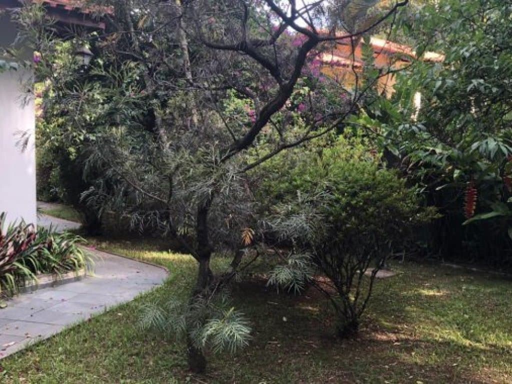 Foto 33 de 36: Casa em leilão em São Paulo - SP, bairro Vila Amélia — Casa 600 m² (área construída) e 1.029 m² (terreno) - Vila Amélia - São Paulo - SP