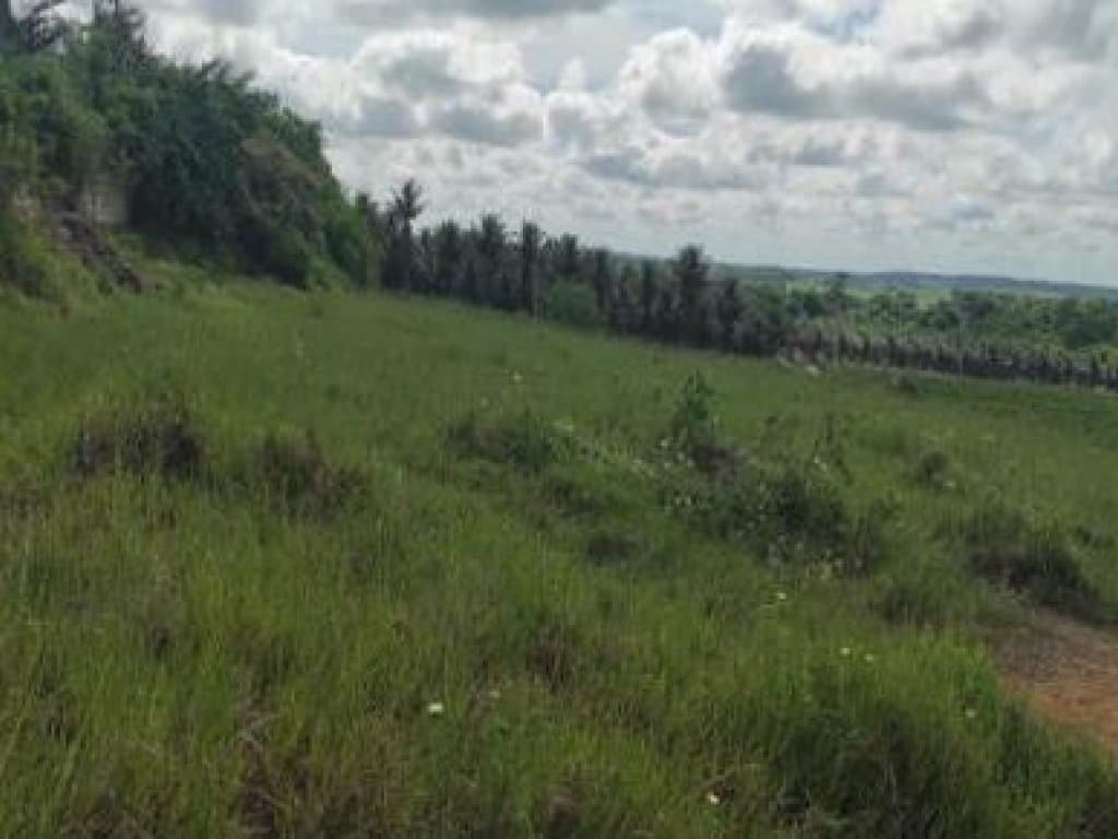 Foto 5 de 7: Terreno em leilão em Eunápolis - BA, bairro Adolfo Xavier — Área com 4.386 m² - Adolfo Xavier - Eunápolis - BA