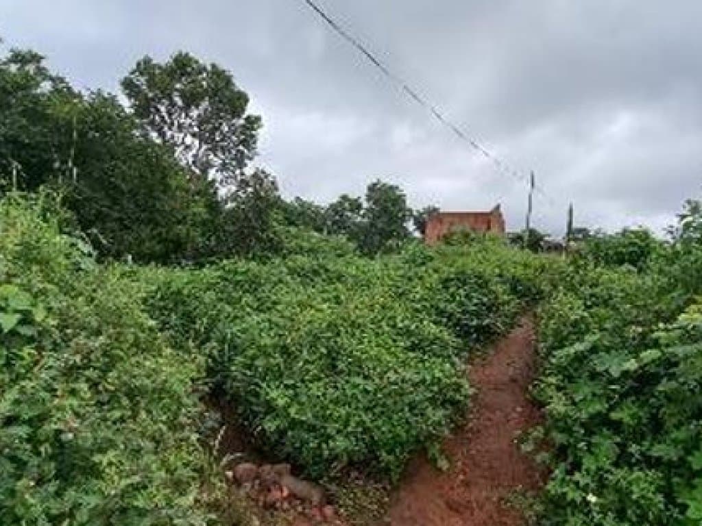 Foto 3 de 12: Terreno em leilão em Paraíso Do Tocantins - TO — 06 Terrenos - Jardim das Acácias - Paraíso do Tocantins - TO