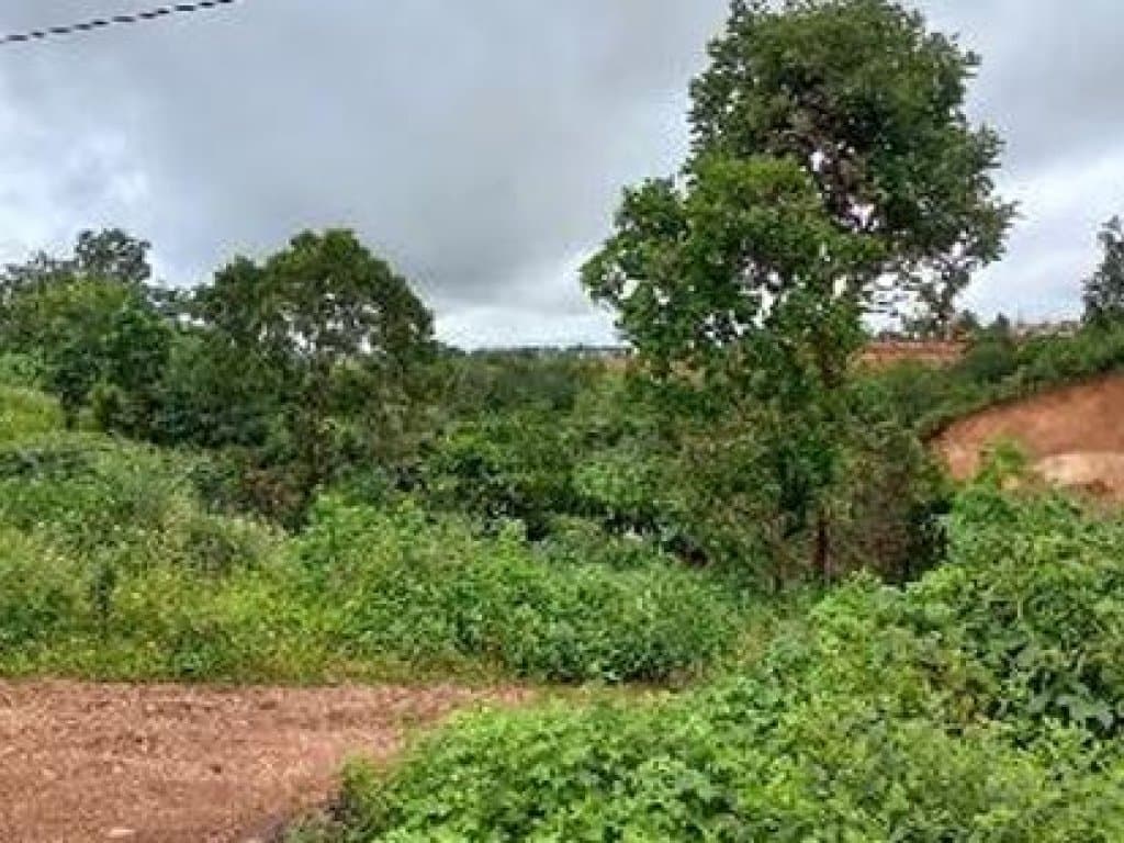 Foto 11 de 12: Terreno em leilão em Paraíso Do Tocantins - TO — 06 Terrenos - Jardim das Acácias - Paraíso do Tocantins - TO