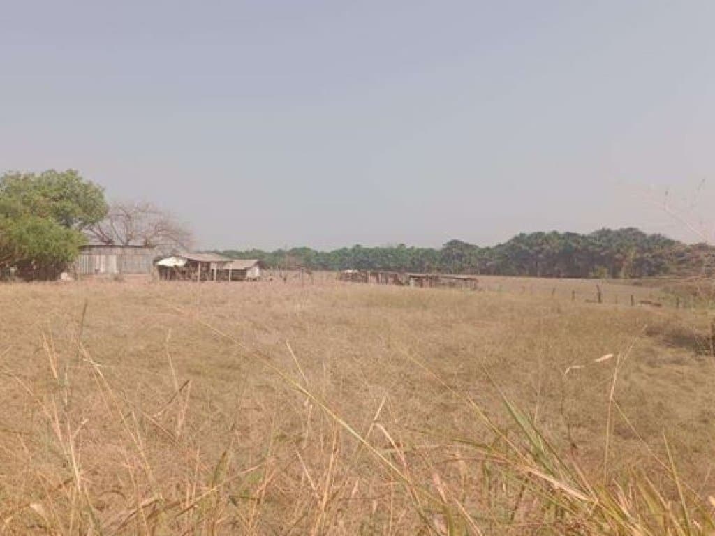 Foto 2 de 5: Area Rural em leilão em Denise - MT — Imóvel 01: Área Rural 28 ha - Denise-MT - Fazenda Nossa Senhora das Graças e Imóvel 02: Área Rural 112 ha - Denise-MT - Nossa Senhora das Graças