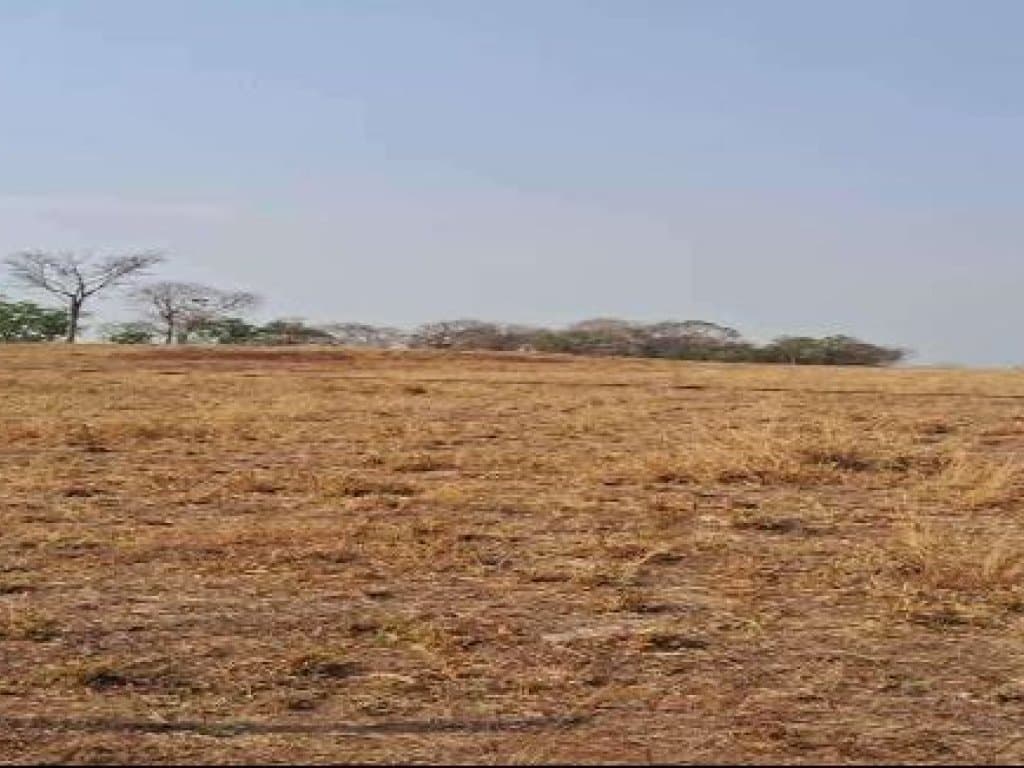 Foto 4 de 5: Area Rural em leilão em Denise - MT — Imóvel 01: Área Rural 28 ha - Denise-MT - Fazenda Nossa Senhora das Graças e Imóvel 02: Área Rural 112 ha - Denise-MT - Nossa Senhora das Graças