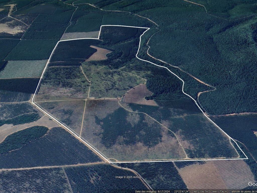 Foto 3 de 8: Area Rural em leilão em Angatuba - SP — Imóvel Rural 221 ha (Horto Florestal Empax) - Cerro - Angatuba - SP