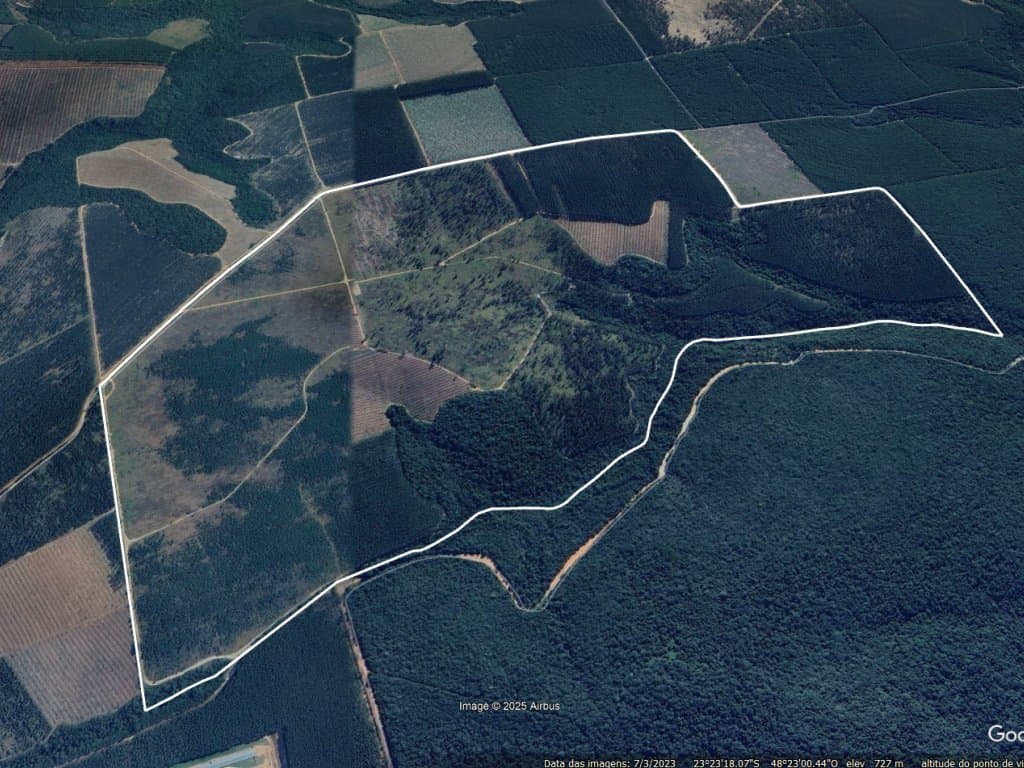 Foto 2 de 8: Area Rural em leilão em Angatuba - SP — Imóvel Rural 221 ha (Horto Florestal Empax) - Cerro - Angatuba - SP