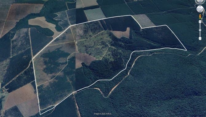 Foto 1 de 8: Area Rural em leilão em Angatuba - SP — Imóvel Rural 221 ha (Horto Florestal Empax) - Cerro - Angatuba - SP