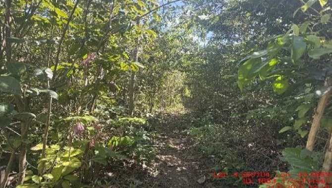 Foto 1 de 3: Area Rural em leilão em Paulo Ramos - MA — Área Rural 148 ha - Paulo Ramos-MA - Fazenda Pinheiro - Povoado Baixão do Onça