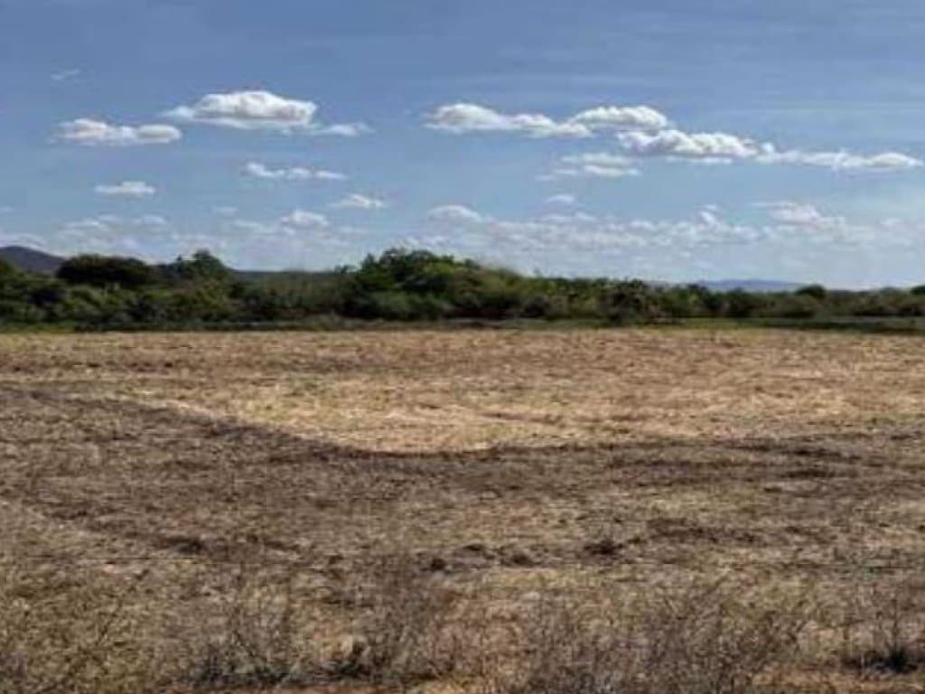 Foto 2 de 2: Area Rural em leilão em Sousa - PB — Área Rural 6 ha - Sousa-PB - Sítio Barro Vermelho - Zona Rural