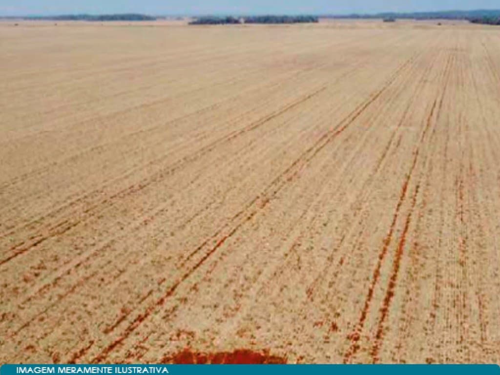Foto 7 de 13: Area Rural em leilão em Bonito - MS — Imóvel Rural com 5.494 ha (Fazenda Formoso) - Bonito - MS