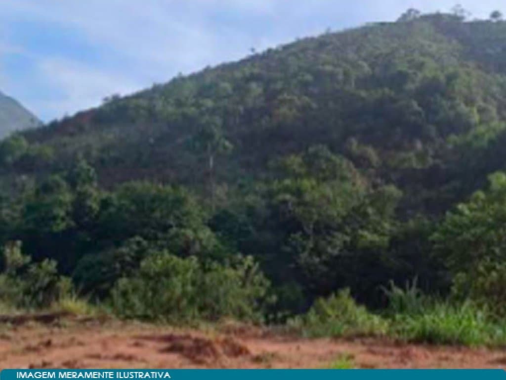 Foto 10 de 15: Area Rural em leilão em Teresópolis - RJ — Direitos sobre Imóvel Rural - Vale do Paquequer (05 matrículas - aprox. 47 ha) - Teresópolis - RJ