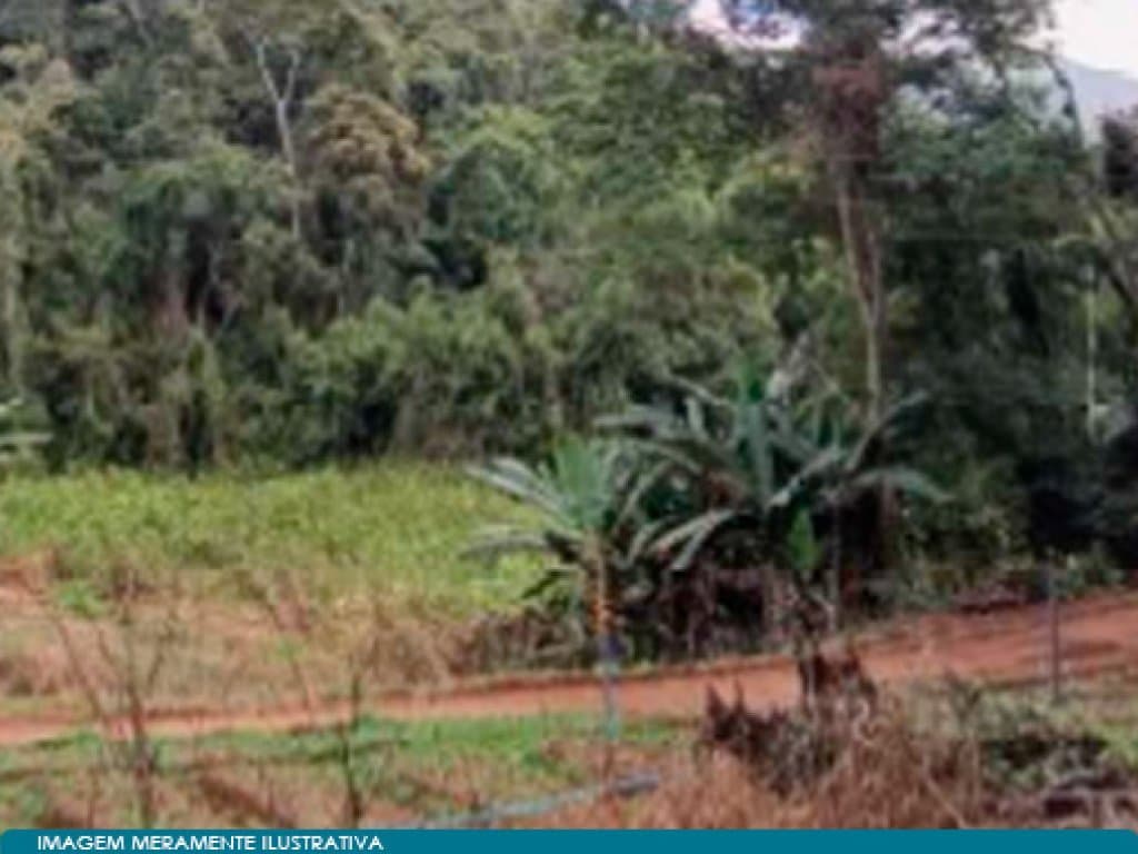 Foto 15 de 15: Area Rural em leilão em Teresópolis - RJ — Direitos sobre Imóvel Rural - Vale do Paquequer (05 matrículas - aprox. 47 ha) - Teresópolis - RJ