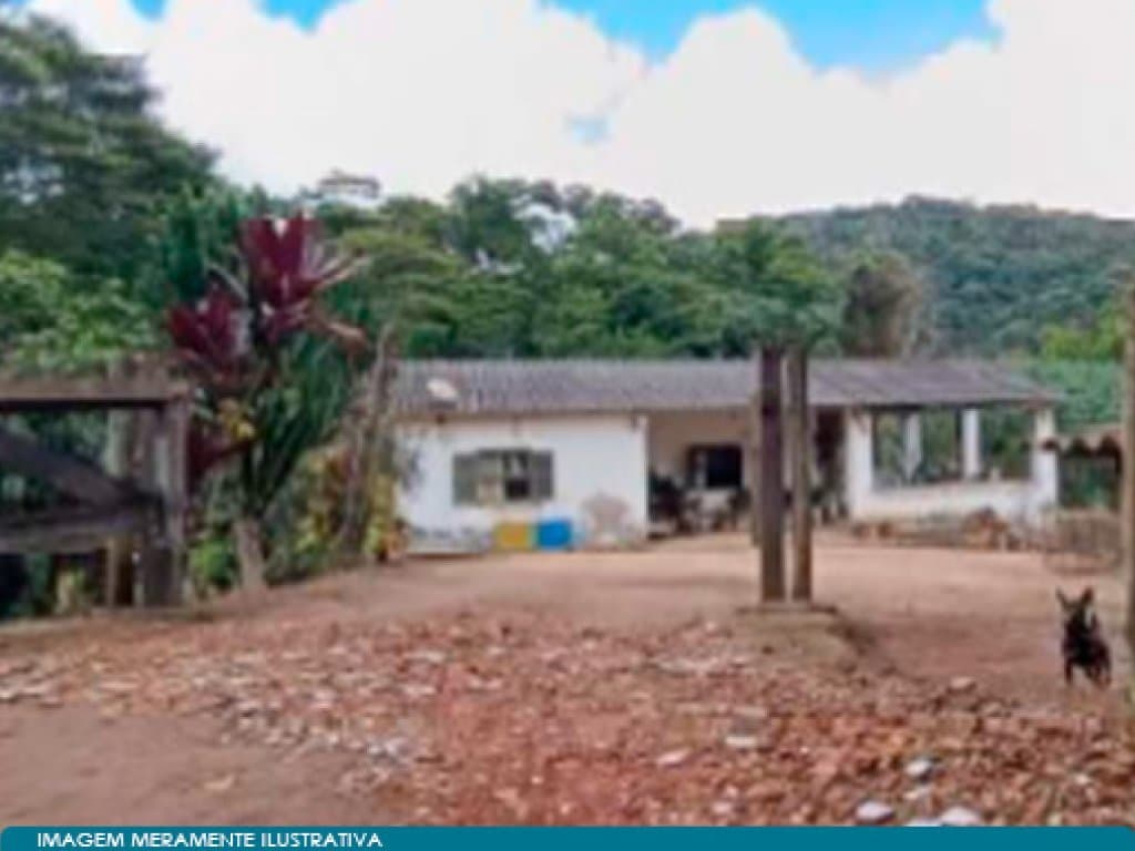 Foto 14 de 15: Area Rural em leilão em Teresópolis - RJ — Direitos sobre Imóvel Rural - Vale do Paquequer (05 matrículas - aprox. 47 ha) - Teresópolis - RJ