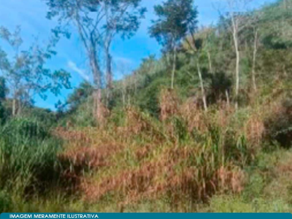 Foto 6 de 15: Area Rural em leilão em Teresópolis - RJ — Direitos sobre Imóvel Rural - Vale do Paquequer (05 matrículas - aprox. 47 ha) - Teresópolis - RJ