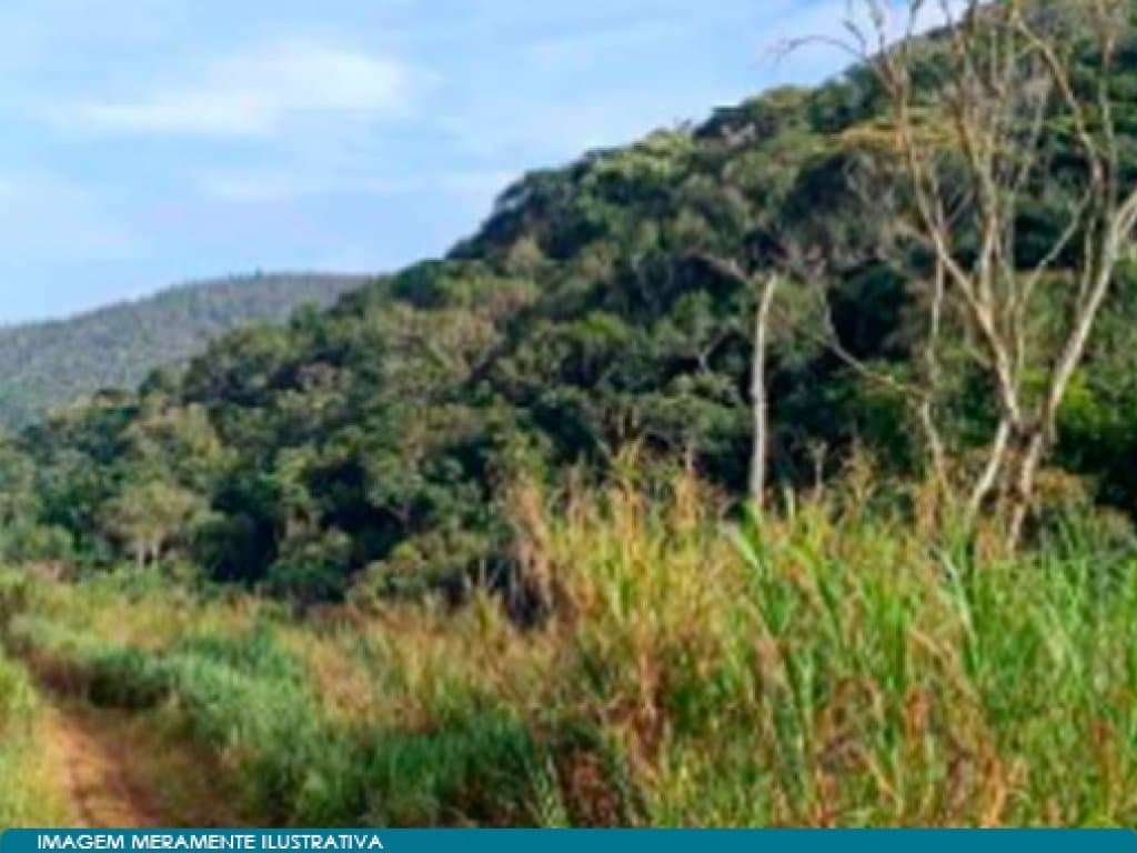Foto 7 de 15: Area Rural em leilão em Teresópolis - RJ — Direitos sobre Imóvel Rural - Vale do Paquequer (05 matrículas - aprox. 47 ha) - Teresópolis - RJ