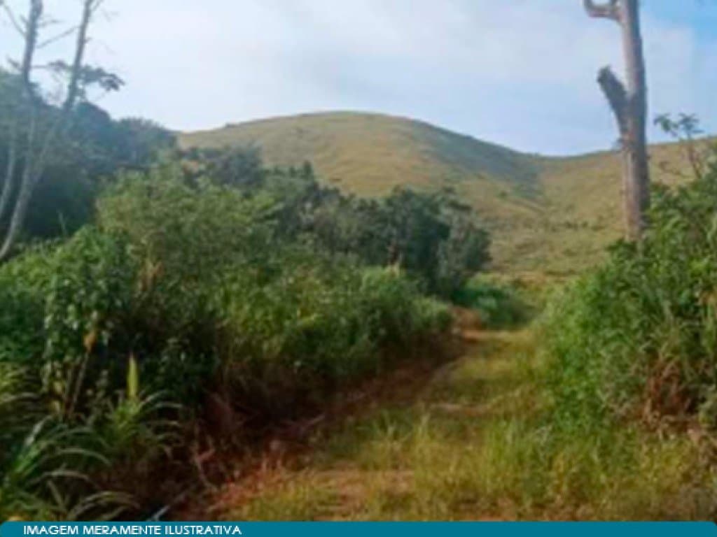 Foto 3 de 15: Area Rural em leilão em Teresópolis - RJ — Direitos sobre Imóvel Rural - Vale do Paquequer (05 matrículas - aprox. 47 ha) - Teresópolis - RJ